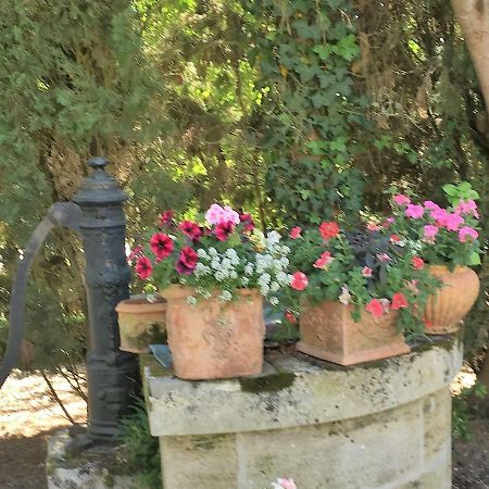 Les Chambres D'Hotes Du Domaine Du Pacha Beautiran Εξωτερικό φωτογραφία